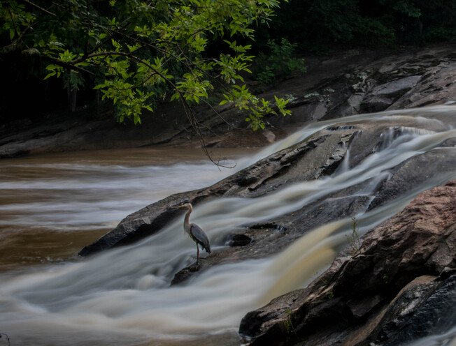 New Trail Coming to Lake Blalock Park