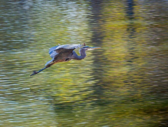 Municipal Reservoir #1